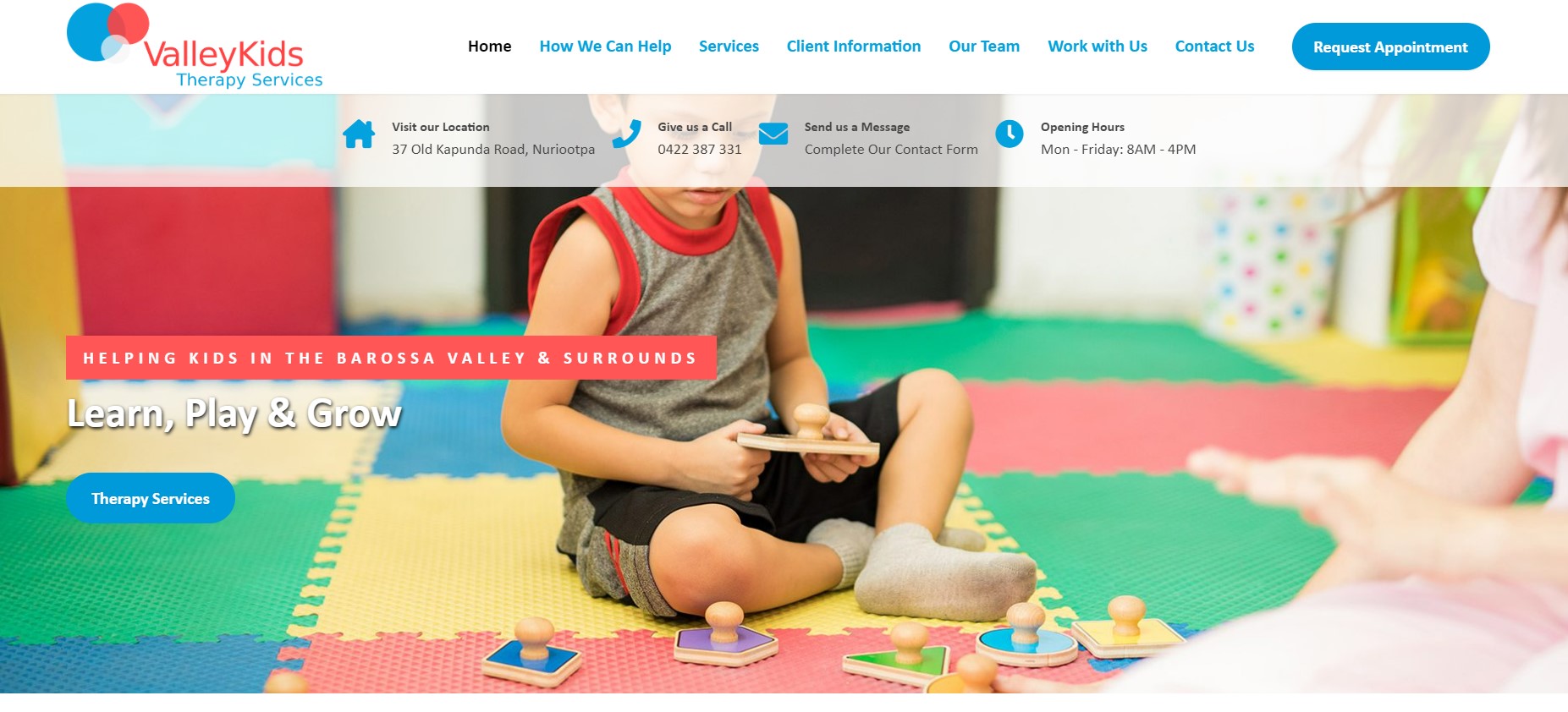 ValleyKids Therapy Services - Paediatric Physiotherapy & Occupational ...